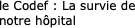 le Codef : il est
